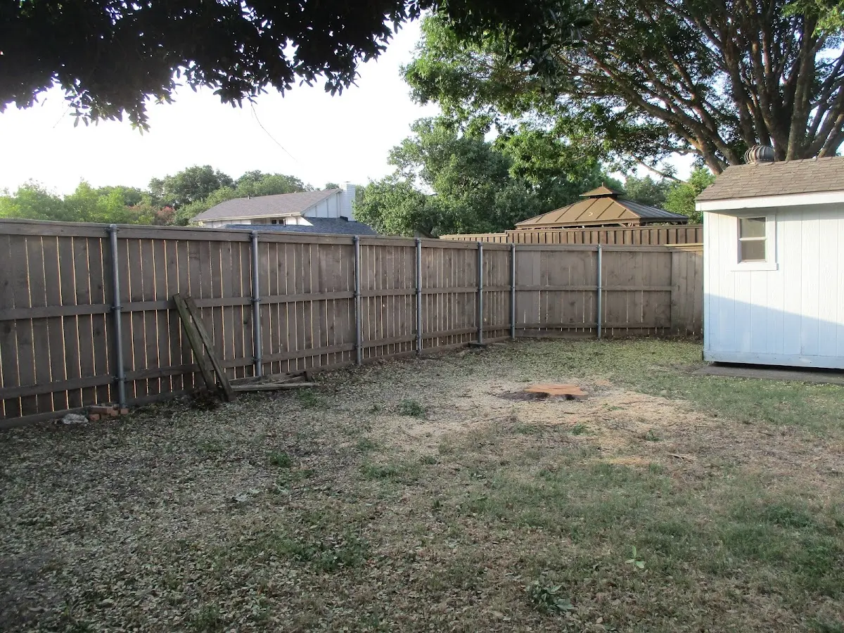 Cleared yard after professional tree removal in North Bennington